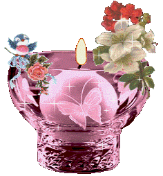 a butterfly candle